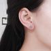 Silver Mosang Earrings Women's Four Claw Elegance Simple Gift Jewelry_ipsvogv.com