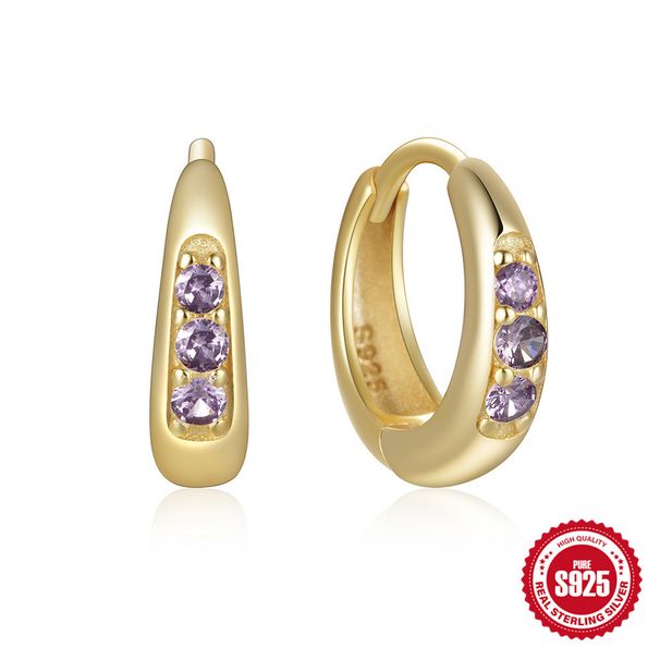 S925 Sterling Silver Ins Style Diamond Earrings Earrings Light Luxury Color Diamond High End Ear Jewelry_ipsvogv.com