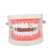 Big Gold Teeth Single Twill Diamond Hip Hop Gold Teeth Braces_ipsvogv.com