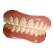 Smile Teeth Braces Lower and Upper Veneer Silica Gel False Removable Denture Oral Care Dentistry 240731_ipsvogv.com