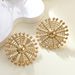 Jewelry Personality Gold Fashion Irregular Minimalist Style Earrings Simple Temperament Versatile Ear Accessories_ipsvogv.com