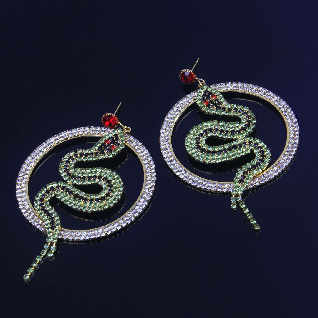 Diamond Circle Earrings Europe and the United States Exaggerated Distinctive Diamond Earrings Super Flash Zircon Luxury INS Internet Cele_ipsvogv.com