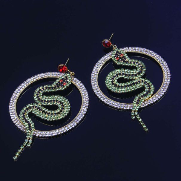 Diamond Circle Earrings Europe and the United States Exaggerated Distinctive Diamond Earrings Super Flash Zircon Luxury INS Internet Cele_ipsvogv.com