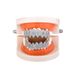 Golden Australia Blue Dia Digital Gold Eight Teeth Micro-inlaid Zirconium Tapered Braces Halloween Vampire Personalized_ipsvogv.com