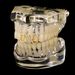 HIPHOP Zircon Bracelet Hollow Out Mixed Splicing Tooth Grillz Hip Hop Teeth Decoration Gold Australia_ipsvogv.com
