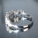 Cao Shi's New Minimalist Four Leaf Clover Zircon Women's Flower Ring_ipsvogv.com