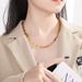 Women's Jewelry Titanium Steel Necklace Simple And Advanced Sense Of Fashion Coffee Bean Pig Nose Stainless Steel Gold Titanium Steel Necklace_ipsvogv.com