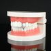 Body Jewelry Vampire Fangs And Sharp Teeth Halloween Funny Real Gold Electroplated Small Tiger Teeth Single Braces For Men And Women_ipsvogv.com