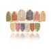 New Color 6 Color Micro Inlay Hip Hop Braces Color Diamond Braces Canines Vampire Teeth_ipsvogv.com
