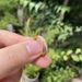 Fashion Personality Starry Sky Ring Female Fashion Same Style Sparkling Zircon Couple Ring Light Luxury All Match Ring_ipsvogv.com