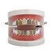New Color 6 Color Micro Inlay Hip Hop Braces Color Diamond Braces Canines Vampire Teeth_ipsvogv.com