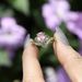 independently Developed A New Women's Colored Diamond Ring Instagram Internet Famous Alloy Inlaid With Water_ipsvogv.com