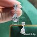 Cao Shi's 2023 New Water Drop For Women, Exquisite Zircon Pear Shaped Eardrops, Elegant And Stylish Internet Celebrity_ipsvogv.com