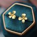 Cao Shi Flower Metal 2024 New Small and Popular Design Light Luxury Earrings_ipsvogv.com