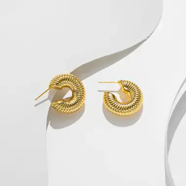 CHARMING EARRINGS