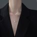 Pearl Women's Light Niche Design Tassel Pull-out Collarbone Chain Cold And Fragrant Temperament Necklace_ipsvogv.com