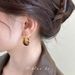 Women's Earrings Maillard autumn and winter light luxury high-end earrings hoop women's round amber earrings amber ear buckle temperament_ipsvogv.com