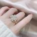 Ring Women's Network Red Lucky Grass Korean Edition Temperament Diamond Embedding Rotable Fashion Index Finger Ring with Adjustable Opening_ipsvogv.com
