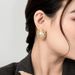 French Style Large Pearl Exaggerated Light Luxury High-end Sense Elegant Brass Gold-plated Earrings For Women Autumn_ipsvogv.com