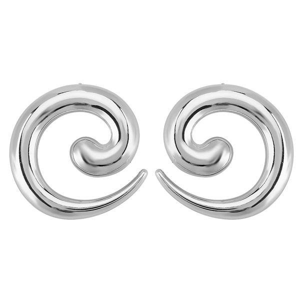 E13242 Fashionable and Exaggerated Design with a Metallic Style ZA Same Style, Small denomination Earrings for Women_ipsvogv.com