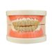 Hip Hop Braces Accessories Real Gold Electroplating 14K Tooth Ornaments Rap Party 10 Tooth Diamond Braces_ipsvogv.com