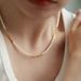 Broken Silver, Shijia Pearl Necklace, Women's Versatile, Light Luxury, High-end Feeling, Collarbone Chain, Spring And_ipsvogv.com