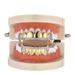 Hip Hop Braces Real Gold Electroplating Micro Inlaid Zircon Fangs Gold Braces Halloween Accessories_ipsvogv.com