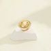 Metal Personality Fashion Geometric For Women, Internet Celebrity Round-in-Round Earrings_ipsvogv.com