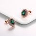 Unisex popular fashion earrings,crystal rose gold plated earrings_ipsvogv.com