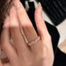 Spring Blossoms "Micro Inlaid Pink Zircon 2025 New High End Ring, Small Luxury Finger Ring_ipsvogv.com