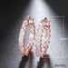 Cao Shi's New Luxury And High Grade Zircon Fine With Earrings, Female Style Copper Plating, Fashion Earrings_ipsvogv.com