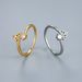 Spot Popular Diamond Crown Ring Zircon CZ Star Female Index Finger Ring Opening Adjustable Jewelry_ipsvogv.com