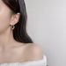 Women's Jewelry Simple Metal Earrings 925 Pure Silver High End Niche Twist Fashion Earrings Light Luxury Niche Earrings Silver Needle_ipsvogv.com