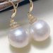 Cao Shi'sl earrings women's luxury and high sense ins earrings trendy autumn and winter versatile earrings_ipsvogv.com