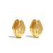 Botanical Seed Texture Earrings - Light Luxury Minimalist Jewelry (Nature-Inspired Design Hypoallergenic)_ipsvogv.com