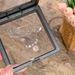 S Pure Silver Square Sugar Necklace For Women, Niche Design, Light Luxury Temperament, High-end Sense, Versatile And_ipsvogv.com