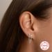 Women's Jewelry S925 Sterling Silver Ins Style Chain Tassel Diamond Earrings Earrings Personality Trend Earrings_ipsvogv.com