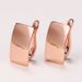 Cao Shi 2024 Korean Version Couple Temperament Shiny And Smooth Rectangular Earrings, Personalized Rose Gold Ear Buckle_ipsvogv.com