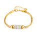 Women's Jewelry Irregular Light Luxury Bracelet Female Stainless Steel Snake Bone Chain Personality Simple All Match Titanium Steel Hand Jewelry_ipsvogv.com