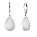 Unisex Hot Sales Fashionable And Elegant Teardrop Shaped Pendant Earrings For Women Light Luxury Wind Earrings_ipsvogv.com