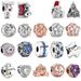 1 Piece Sterling Silver Zircon Round Star Flower Jewelry Accessories_ipsvogv.com