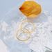 Indifferent Instagram Style, Niche Personality, Titanium Steel Circular Ring Men's And Women's Styles, Gold-plated Tail_ipsvogv.com