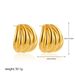 Women’s Jewelry Set Fashion Niche Design Exaggerated Line Earrings Personality Trend High End Sense Of Luxury Commuting All Match Earrings_ipsvogv.com