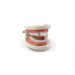 Women's Jewelry Diamond Zircon Electroplating Single Hip Hop Tooth Braces Teeth Grillz Halloween Teeth_ipsvogv.com
