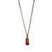 Xiupi Necklace, Female Ins, Lucky Transfer, Colorless, Luxury, Fashion, Net Red Collar Chain, Plating with True Gold Short Neck Chain_ipsvogv.com