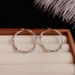 Minimalist Fashion High-End Diamond-Studded Metal Hoop Niche Design Cold Style Personality Internet Celebrity Earrings_ipsvogv.com