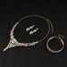 New Exaggerated Light Luxury Alloy And Earring Set Fashionable Elegant Colorful Full Diamond Long Necklace For Women_ipsvogv.com