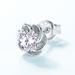 Rose Moissanite Earrings For Women S925 Silver Inlaid With Brilliant Moissanite Earrings Simple And Fashionable_ipsvogv.com