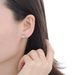 Unisex Simple Small Fresh Shell Earrings Electroplating Color Retention Sweet Romantic Female Earrings_ipsvogv.com