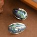 Fashionable Temperament, Colorful Natural Abalone Shell, Women's Light Luxury Fashion OL High-end Silver Needle_ipsvogv.com